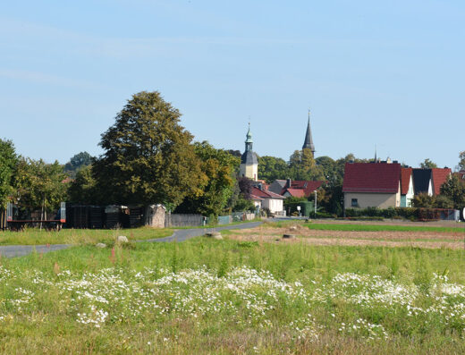 Foto Gemeinde Schönfeld